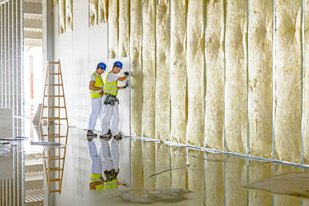 Best Insulation Inspection Services  in Washgton, IN